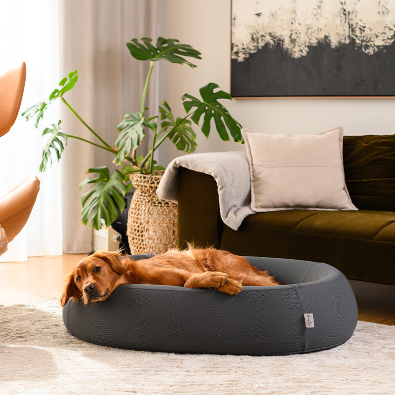 Brooklyn® Cooling Nest Dog Bed