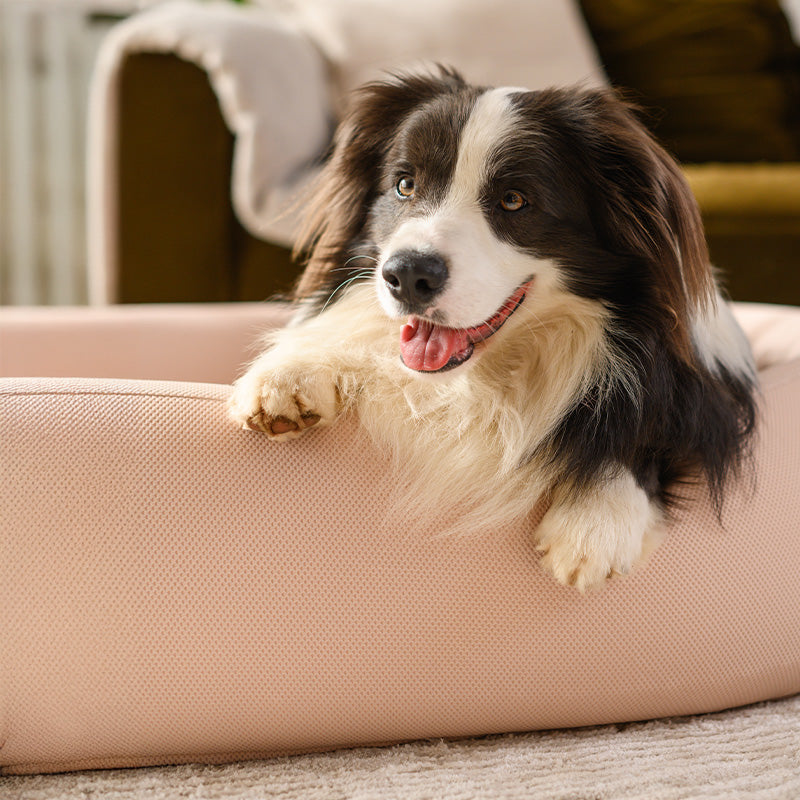 Brooklyn® Cooling Nest Dog Bed