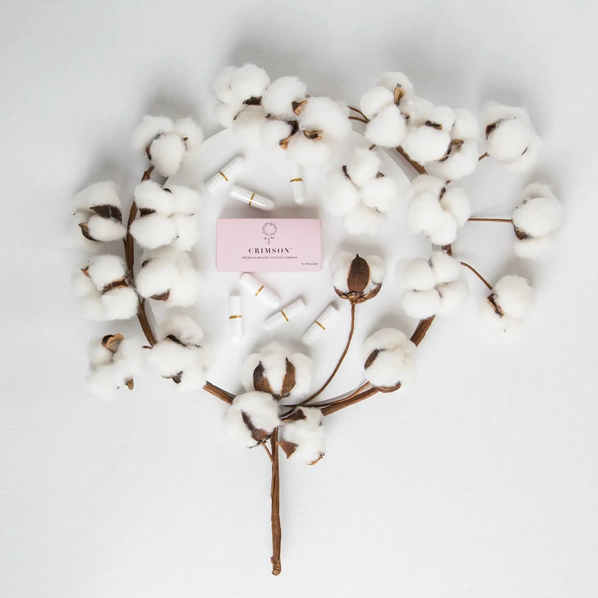 Regular Organic Cotton Tampons - 18 Box Workplace Pack