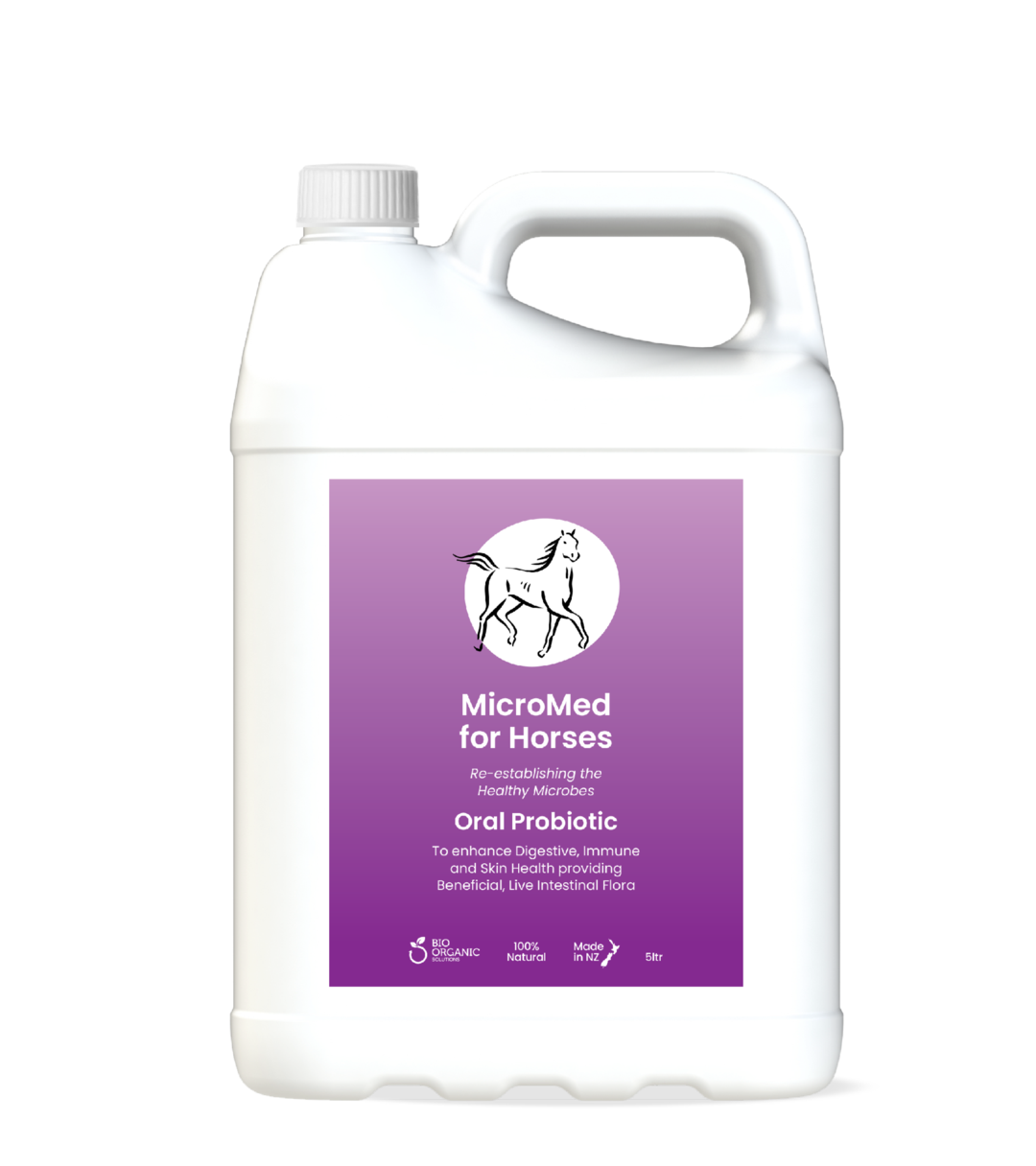 MicroMed for Horses Everyday Care