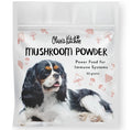 Doggy Daily -  Dog Mushroom Powder - 90gms | Turkey Tail