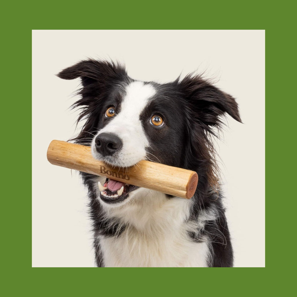 Bonno - The Manuka Chew For Dogs