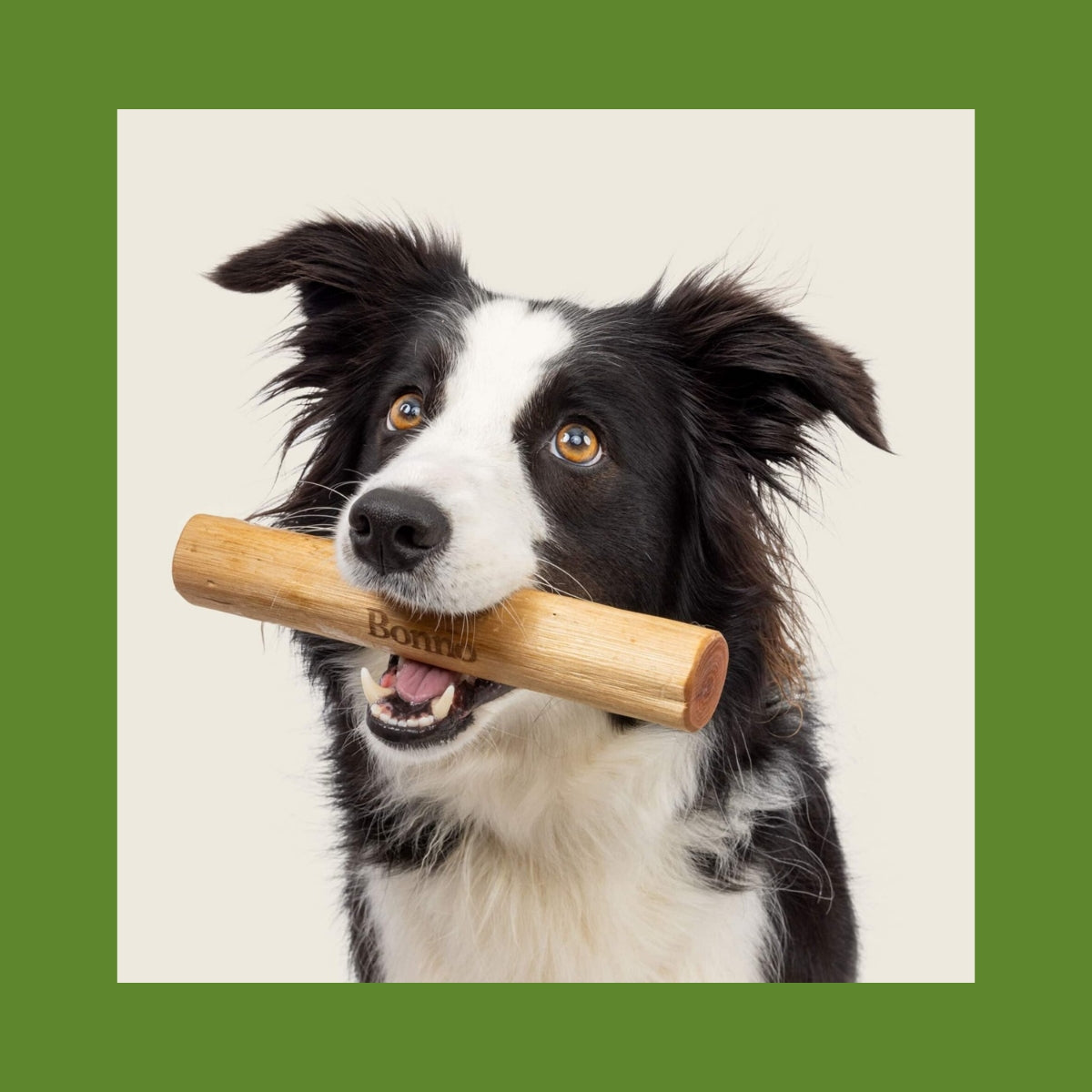 Bonno - The Manuka Chew For Dogs