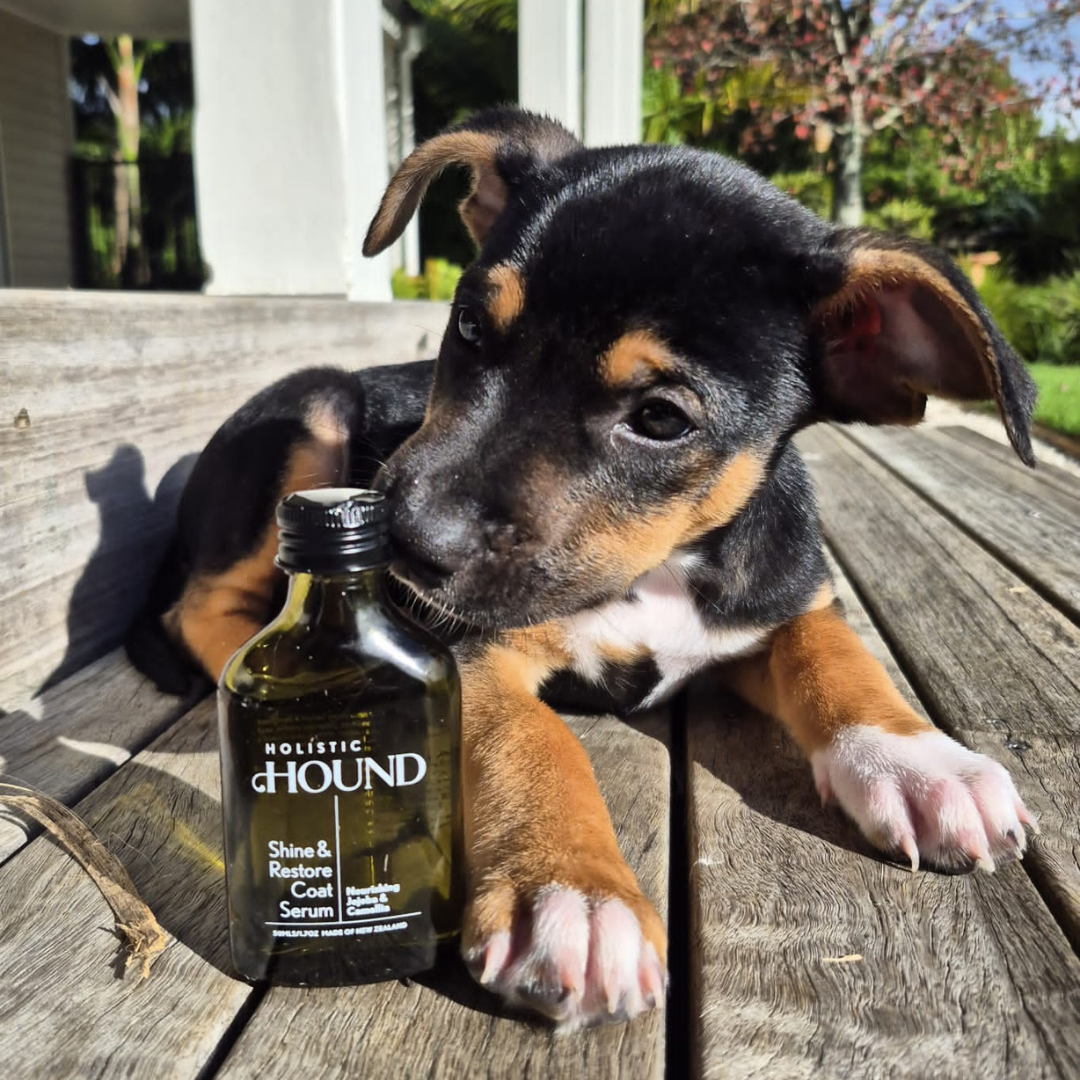 Holistic Hound - Shine & Restore Coat Serum 50mls