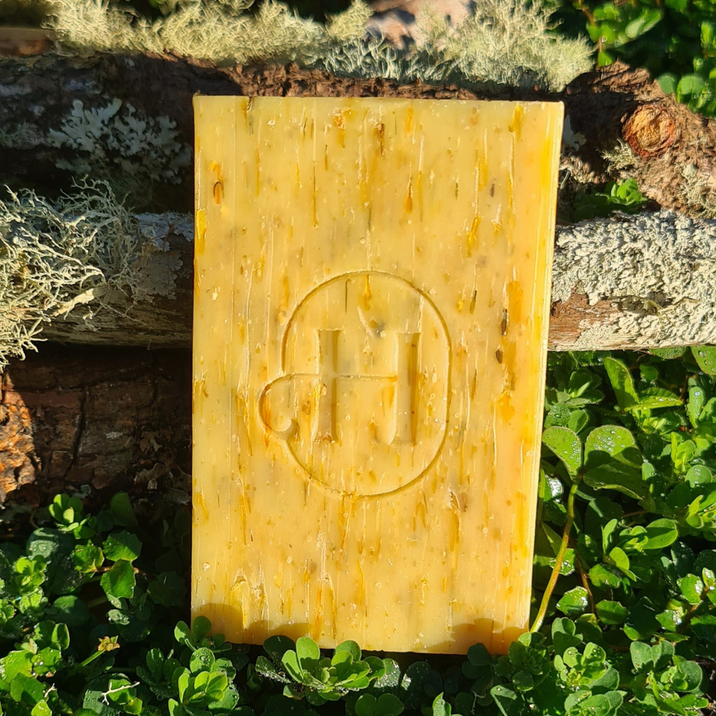 Holistic Hound - Grooming Bar 120g