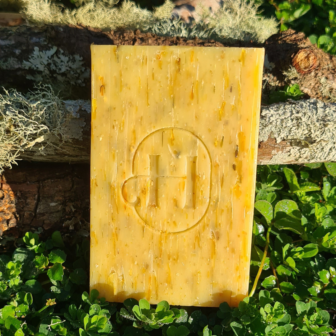 Holistic Hound - Grooming Bar 120g