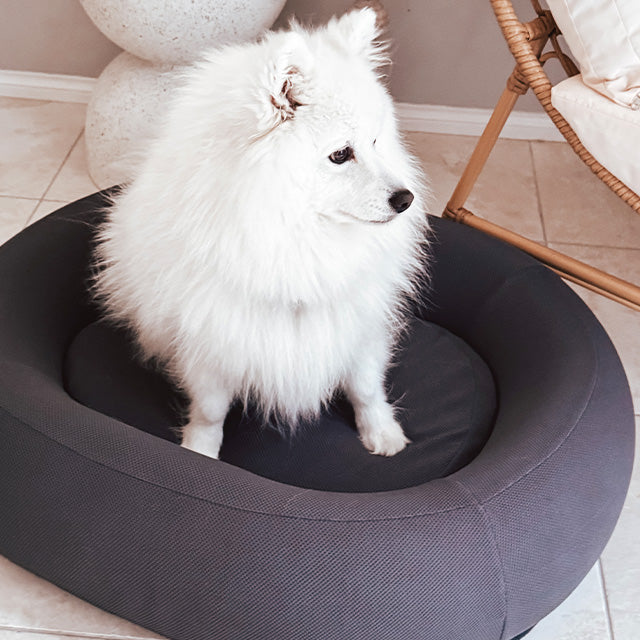 Brooklyn® Cooling Nest Dog Bed