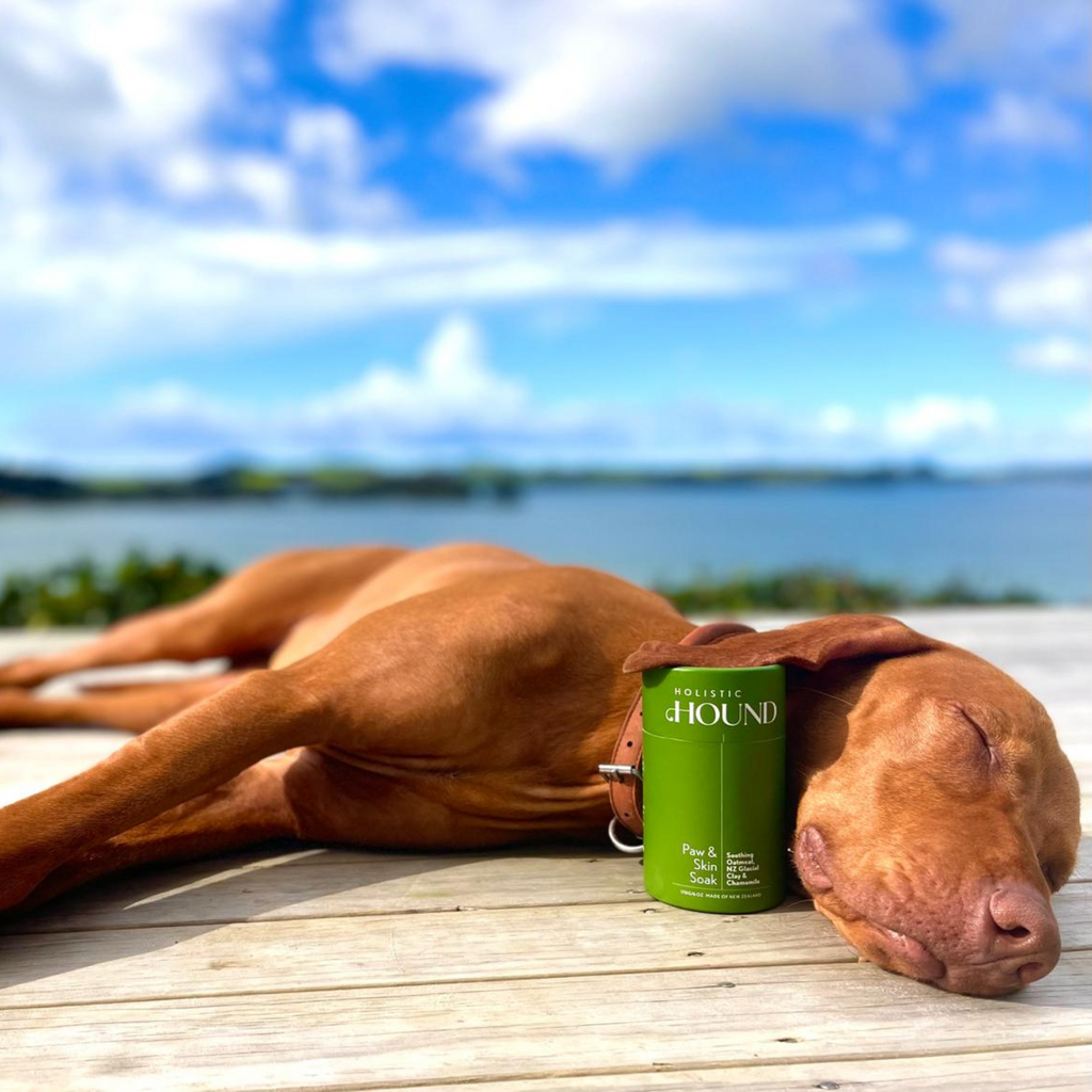 Holistic Hound - Paw & Skin Soak 170g