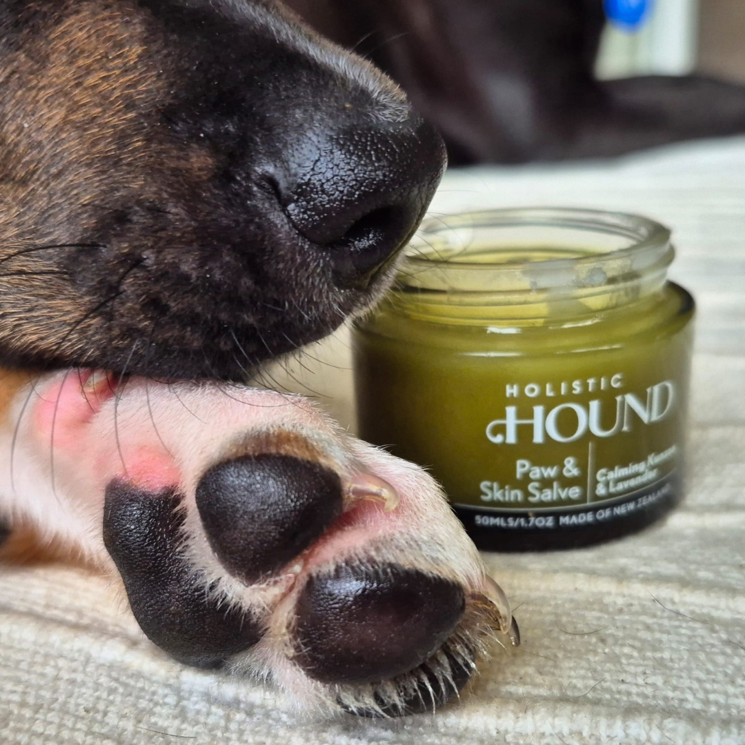 Holistic Hound - Paw & Skin Salve 50g
