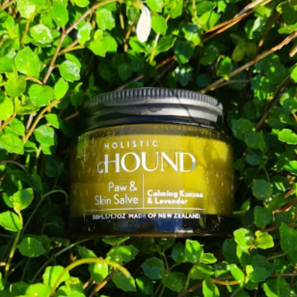 Holistic Hound - Paw & Skin Salve 50g