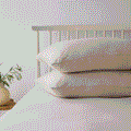 Cotton Jersey Pillowcase Pair
